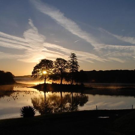 Slebech Park Estate Acomodação com café da manhã Wiston  Exterior foto Sunset over Lake Ouachita